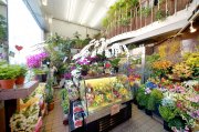 「花茂フローリスト」　（愛知県名古屋市中村区）の花屋店舗写真2